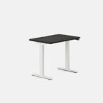 Duo Standing Desk - Image 111
