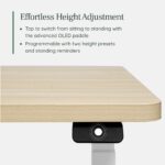 Duo Standing Desk - Image 135