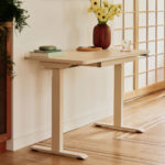 Duo Standing Desk - Image 45