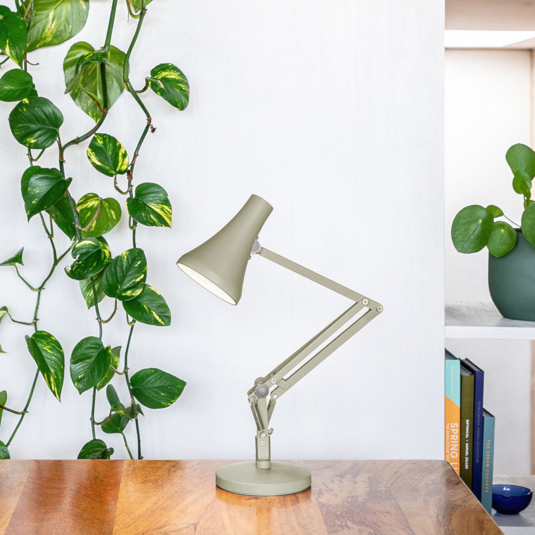 kelpgreen1_4efe9533-4ccb-434a-bd68-70afca358e44 Open Box - 90 Mini Mini Desk Lamp - Image 1